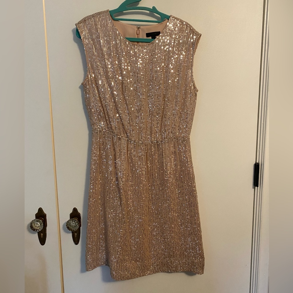 J.Crew Pale Pink Sequin Dress